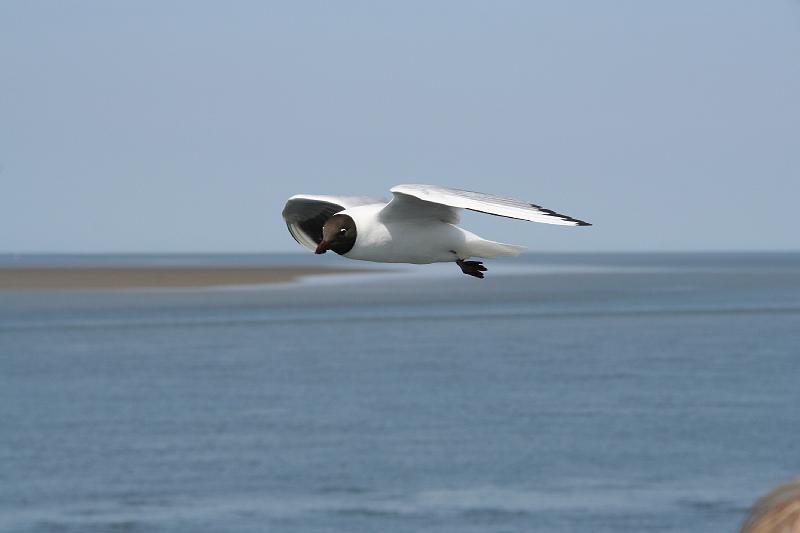 13_DP-2011-023 Bild0002c.JPG